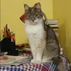 Отзыв от Оксана Клюева